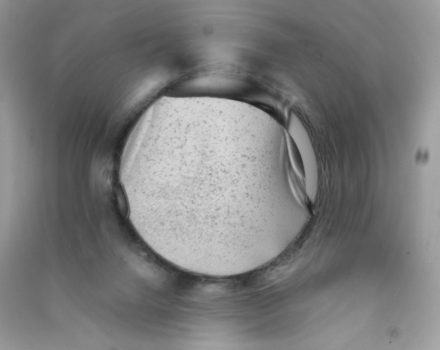 X0000090780072200708172136