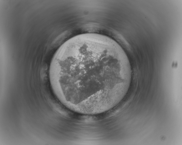 X0000090780073200708172136