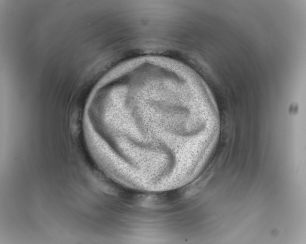 X0000090780074200708172136