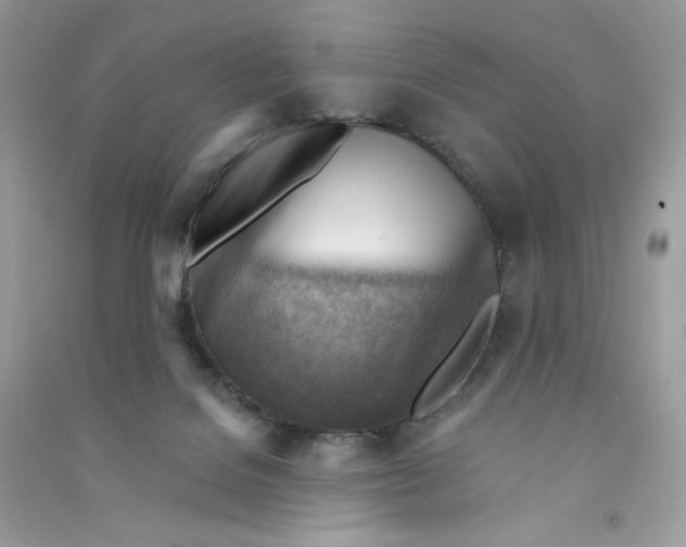 X0000090780076200708172136