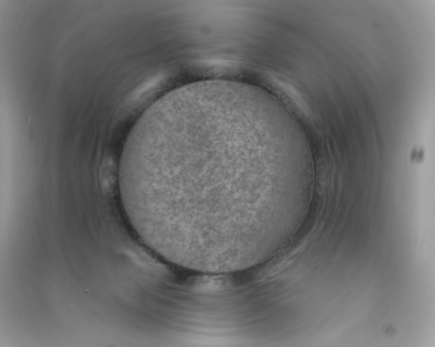 X0000090780077200708172136