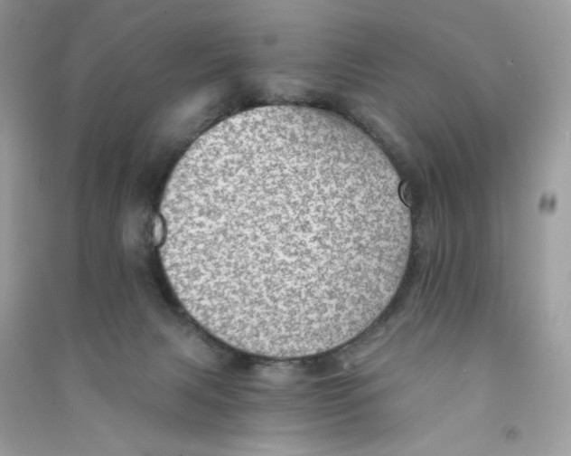 X0000090780079200708172136