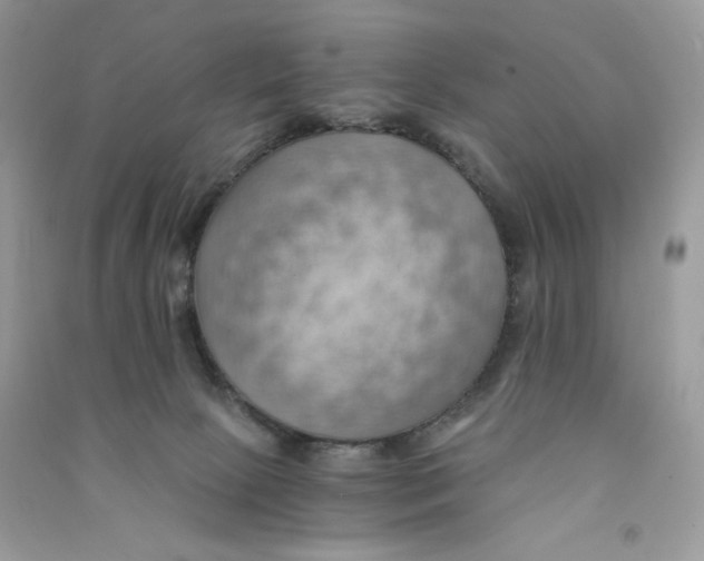 X0000090780081200708172136