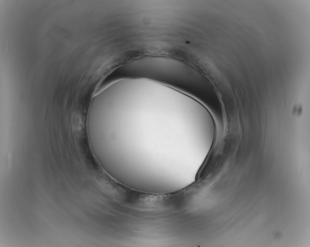 X0000090780084200708172136