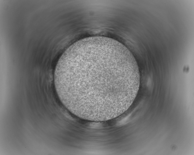 X0000090780085200708172136