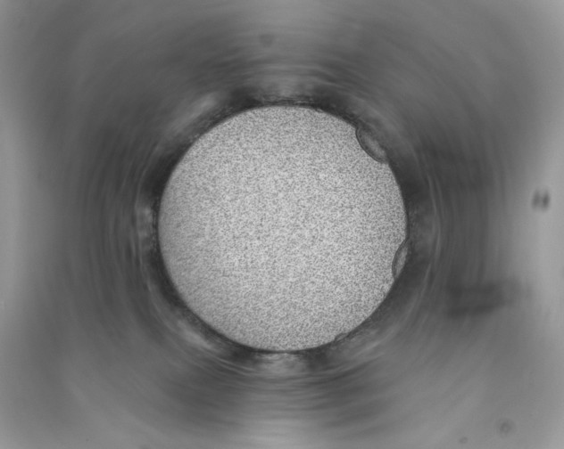 X0000090780087200708172136