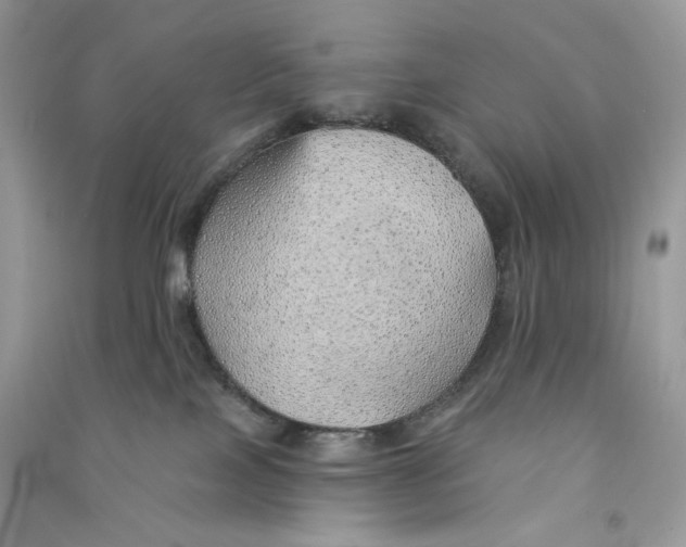 X0000090780089200708172136