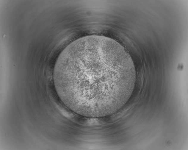 X0000090780091200708172136