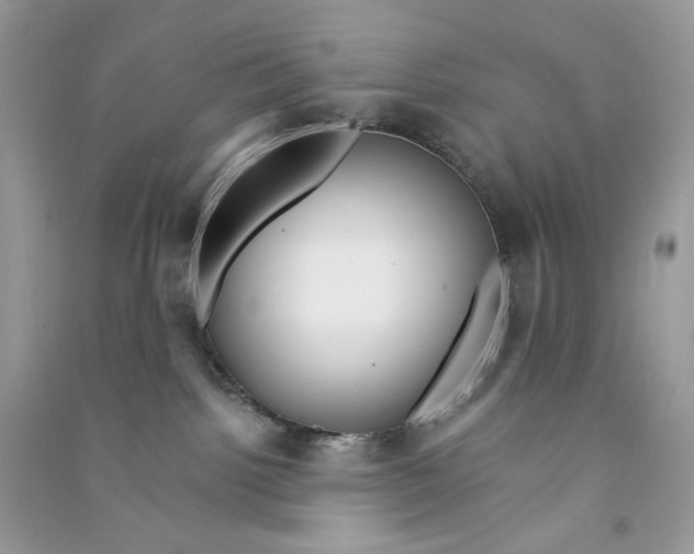 X0000090780092200708172136