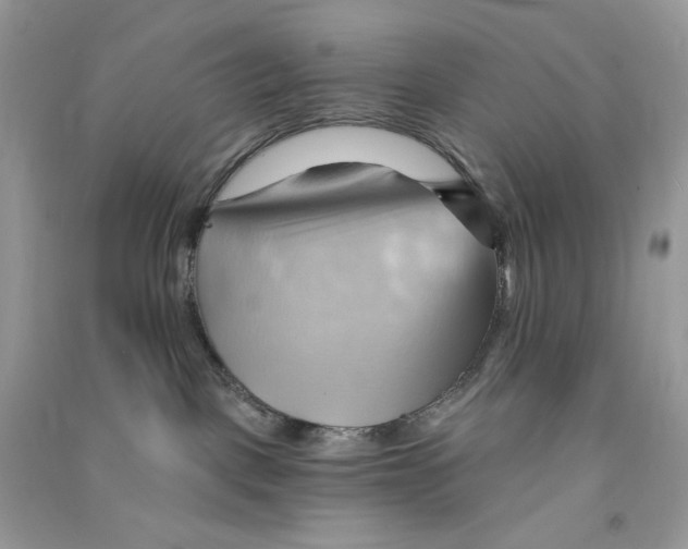 X0000090780093200708172136