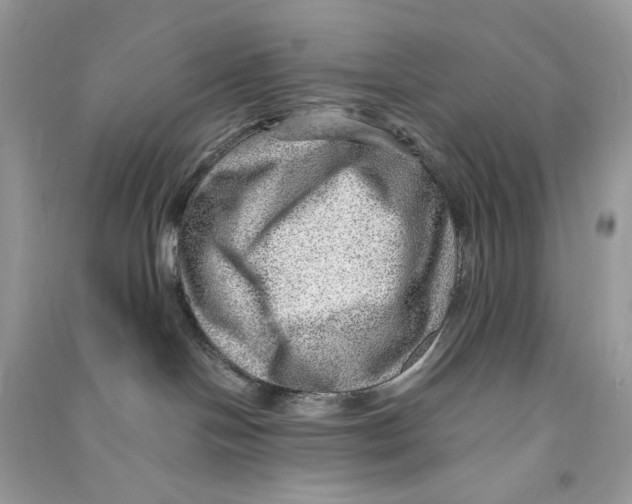 X0000090780094200708172136