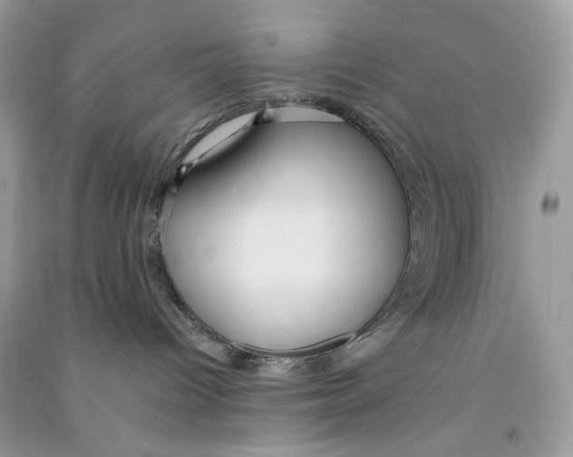 X0000090780096200708172136