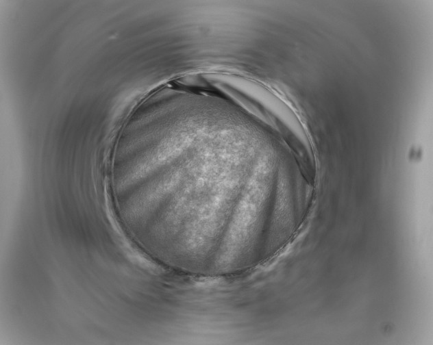 X0000090780097200708172136