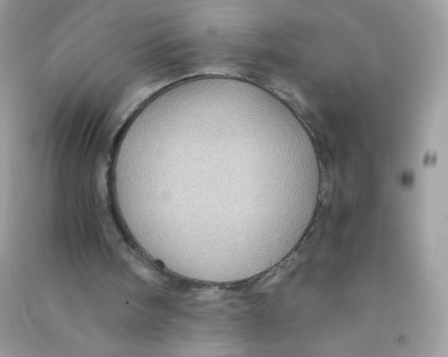 X0000090780098200708172136