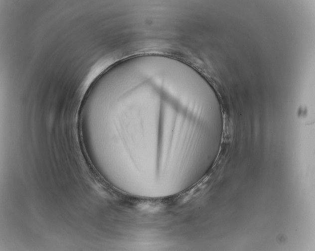 X0000090780099200708172136