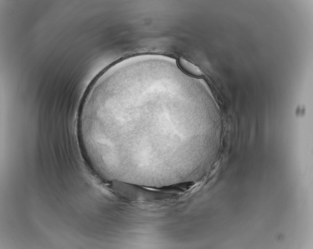 X0000090780100200708172136