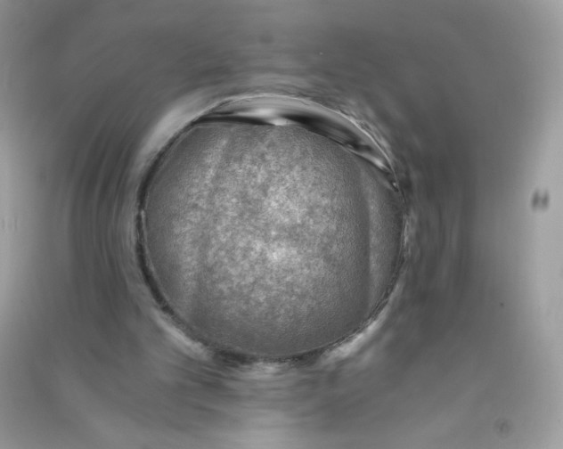 X0000090780101200708172136