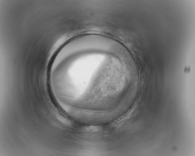 X0000090780102200708172136