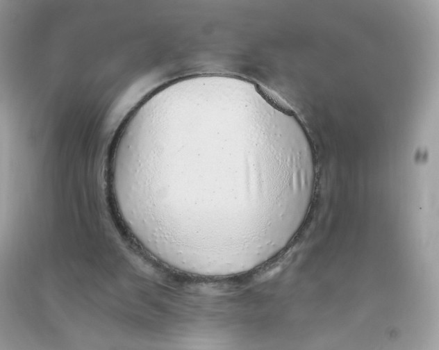 X0000090780103200708172136