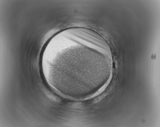 X0000090780104200708172136