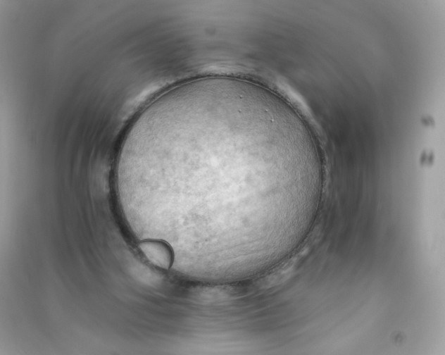 X0000090780106200708172136