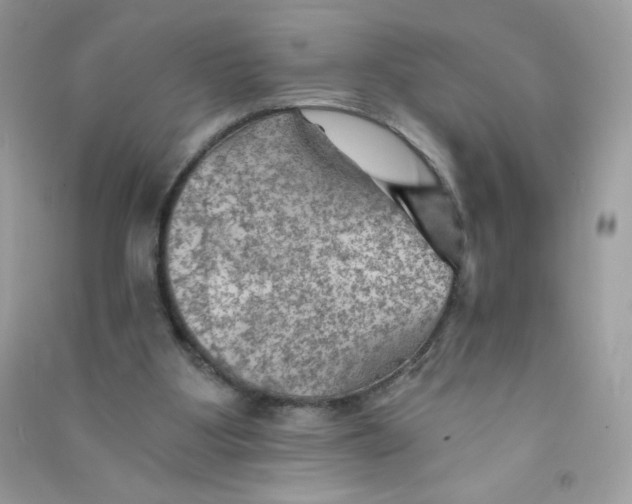 X0000090780107200708172136