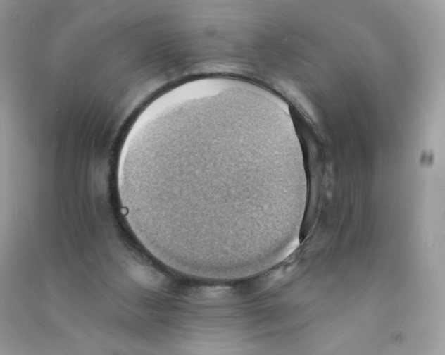 X0000090780108200708172136