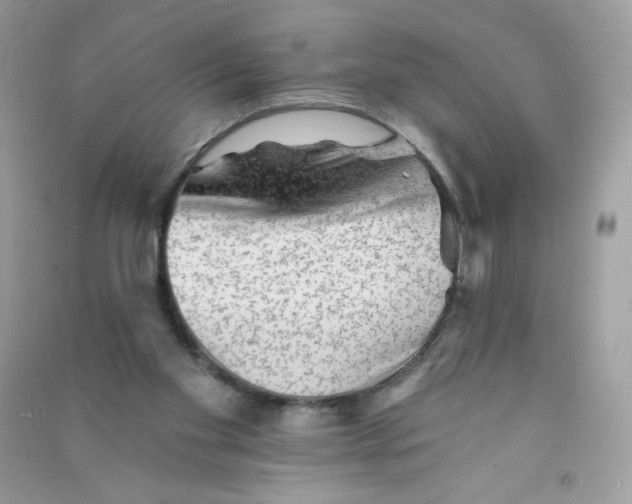 X0000090780109200708172136