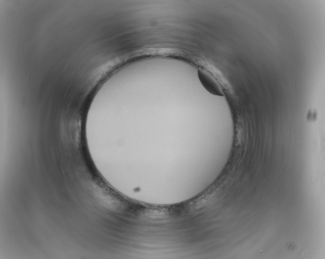 X0000090780110200708172136