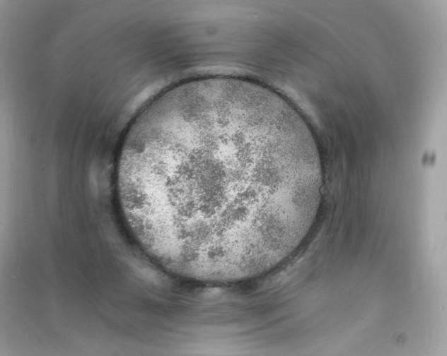 X0000090780111200708172136