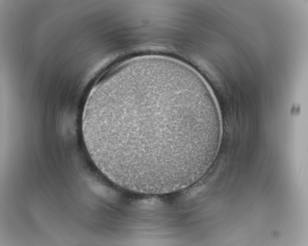 X0000090780112200708172136