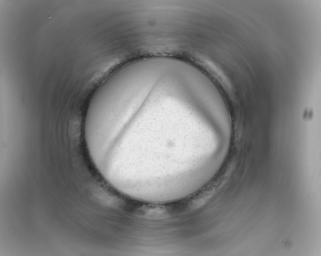 X0000090780113200708172136