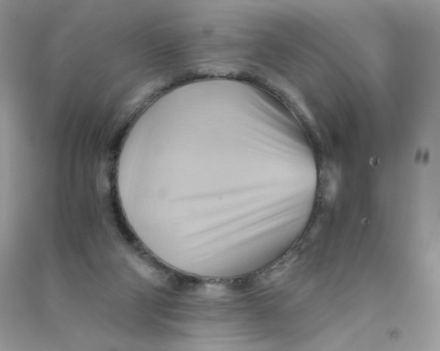 X0000090780114200708172136