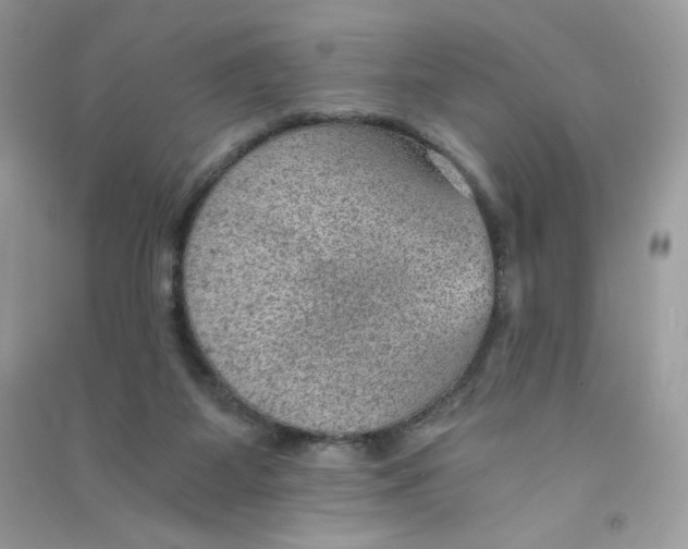 X0000090780115200708172136