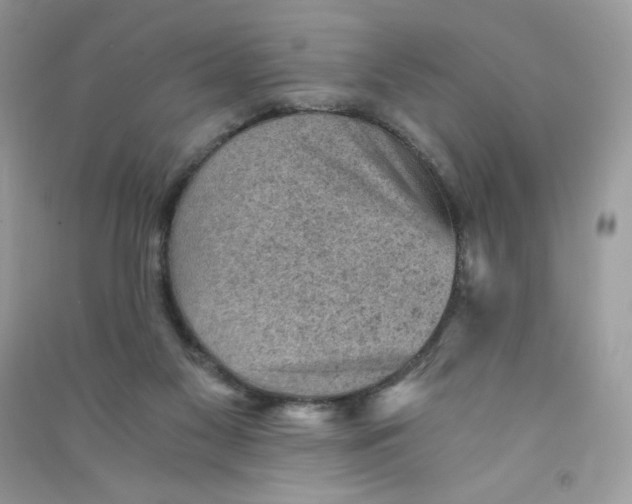 X0000090780117200708172136