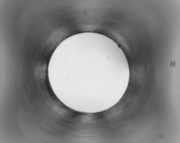 X0000090780118200708172136