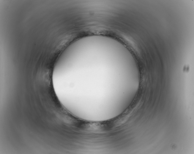 X0000090780121200708172135