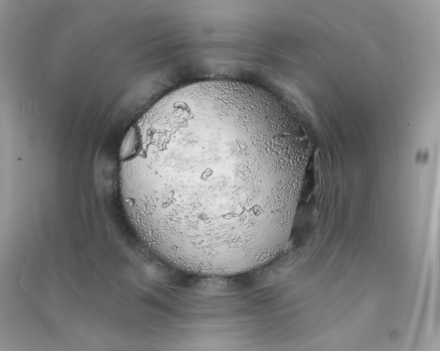 X0000090780123200708172135