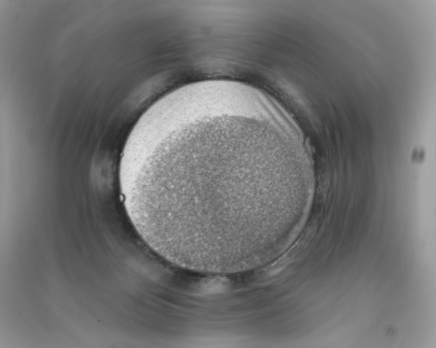 X0000090780124200708172135