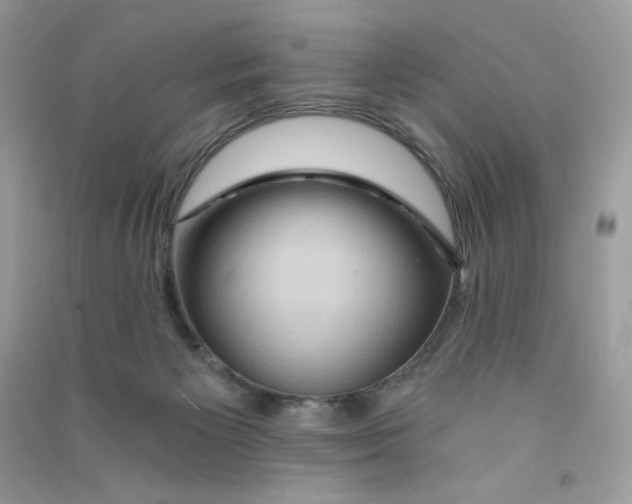 X0000090780125200708172135