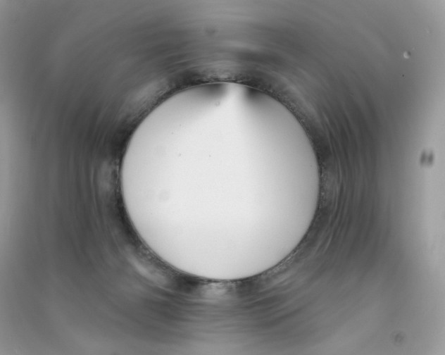 X0000090780126200708172135