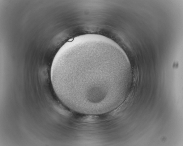 X0000090780128200708172135