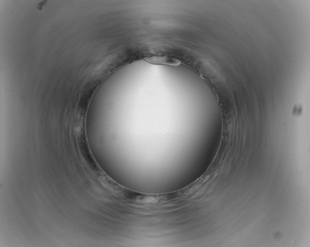 X0000090780129200708172135