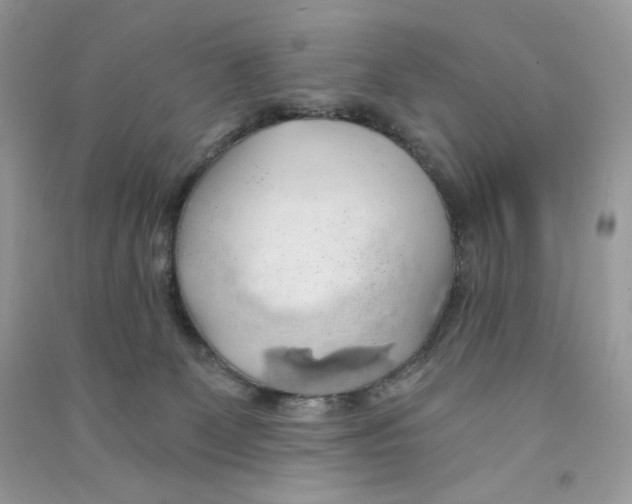 X0000090780131200708172135