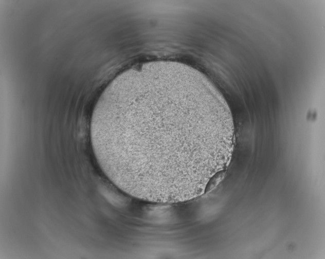 X0000090780132200708172135