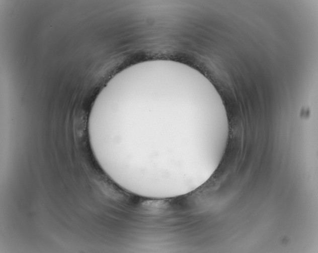 X0000090780133200708172135