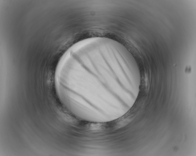 X0000090780134200708172135