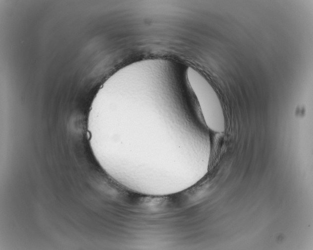 X0000090780135200708172135