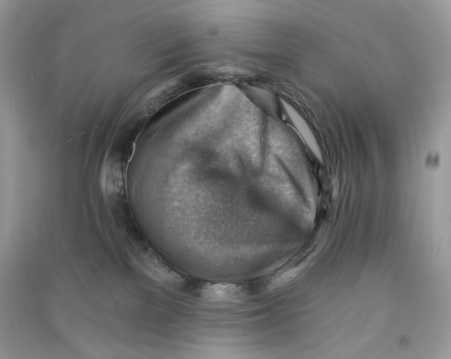 X0000090780137200708172135