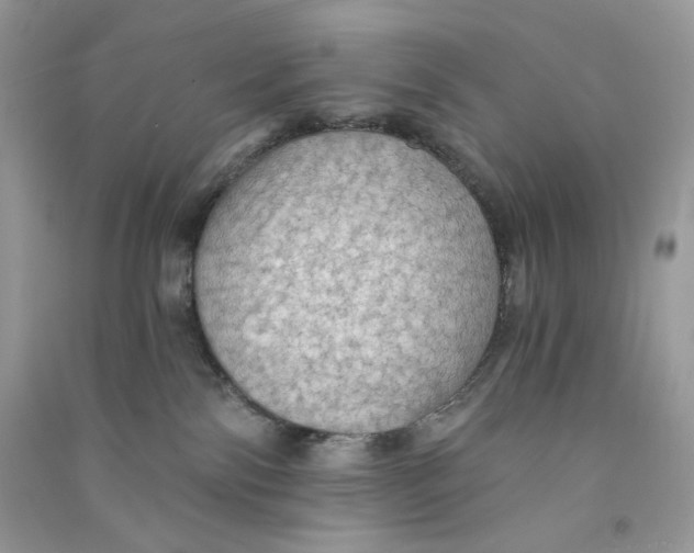 X0000090780138200708172135